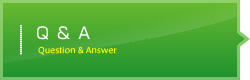 Q&A